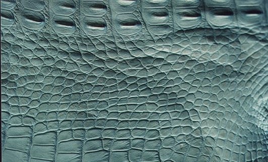 Alligator Skin Flank Various Colors Genuine Hide